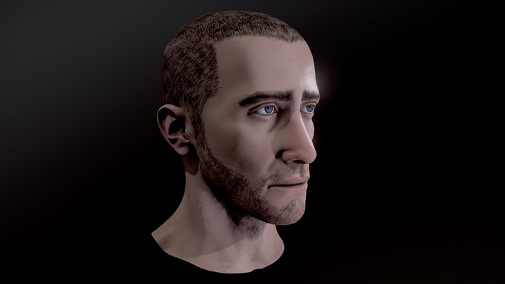 "FREE" Low Poly head 3D Model