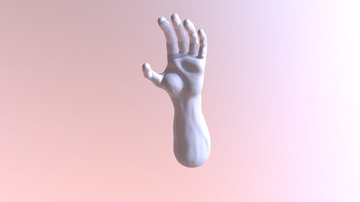 Hand model in Zbrush 3D Model