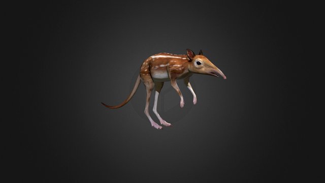 Leptictidium 3D Model