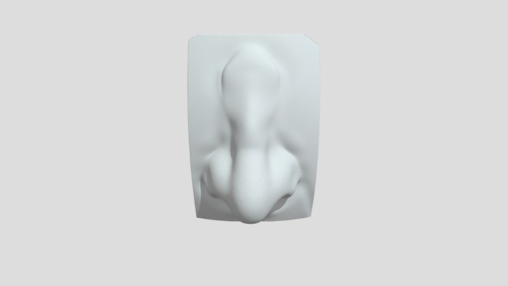 nose_model 3D Model