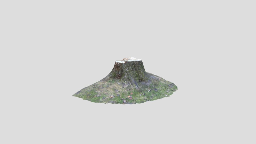 Tree Stump