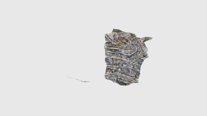 Island Harbour Large Outcrop 3D Model