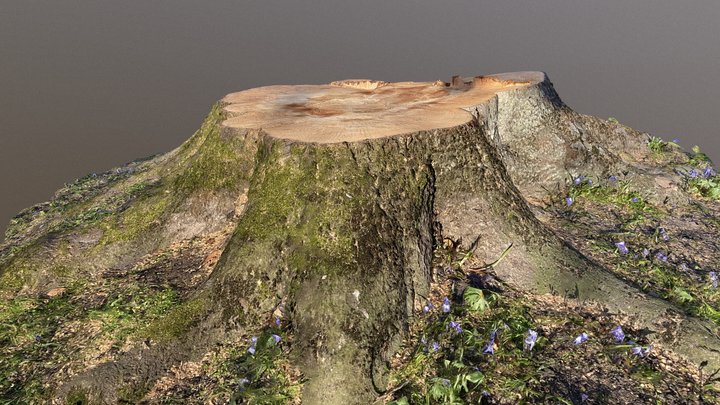 Tree Stump with moss and flowers 3D Model