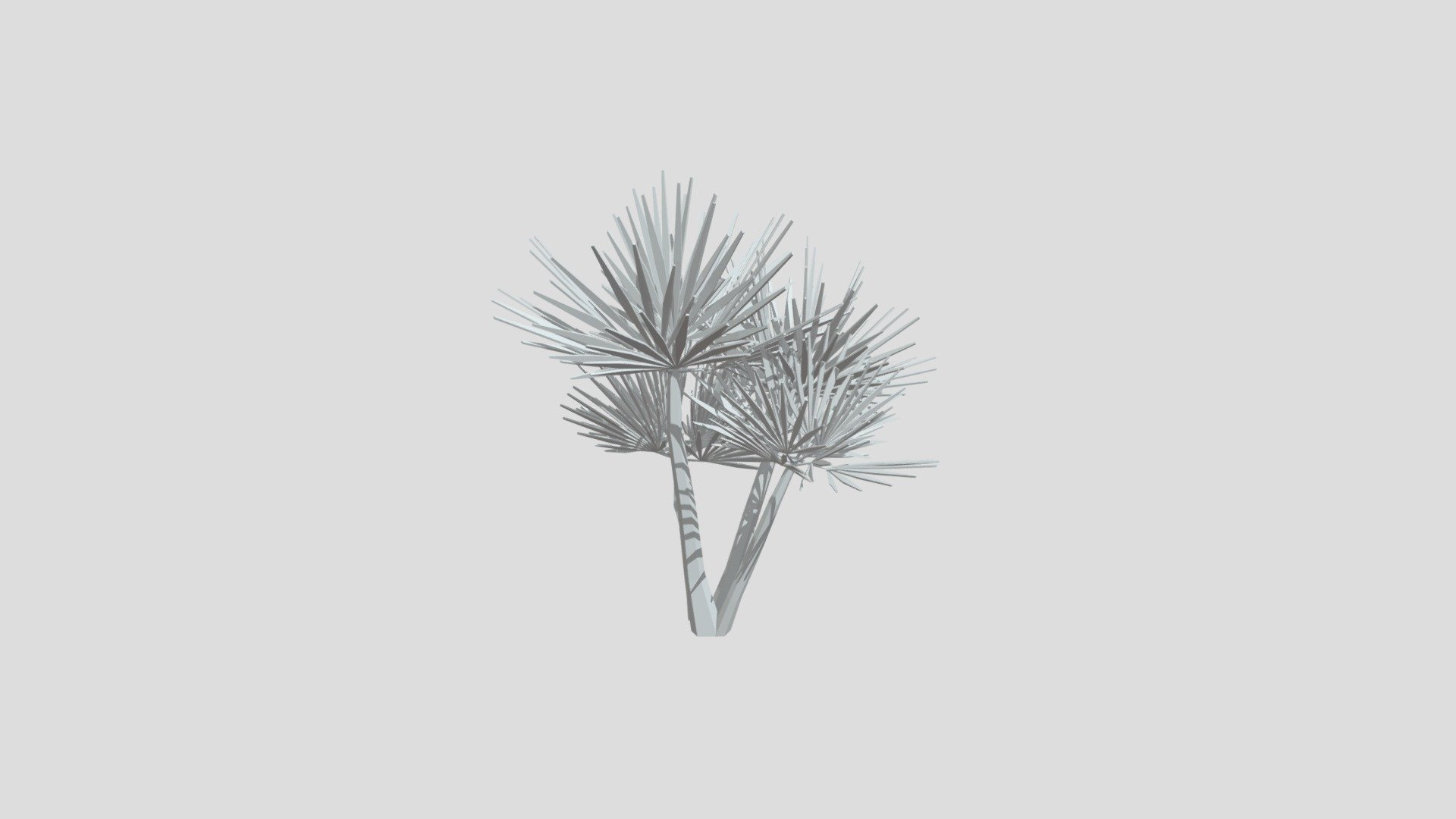 Everglades palm tree from Poly by Google