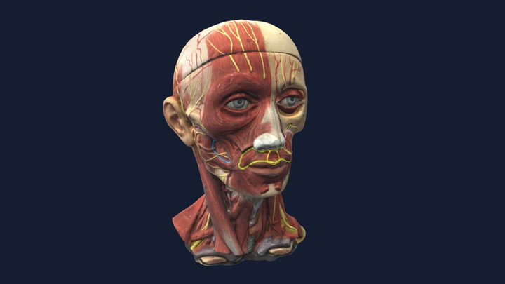 Health care 3D Model