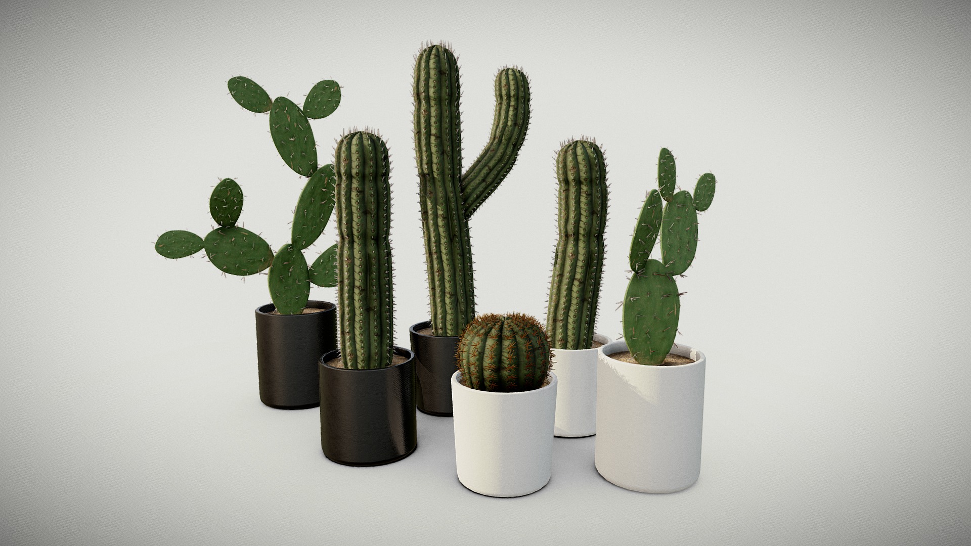 3D model Cactus Pot Package - This is a 3D model of the Cactus Pot Package. The 3D model is about a group of cactus in pots.