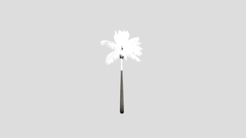 Imperial Palm Tree Animated