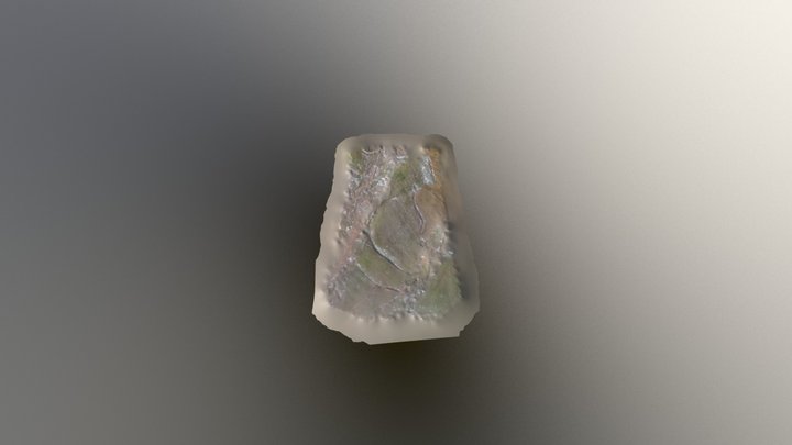 Duzorman 101 17 3D Model