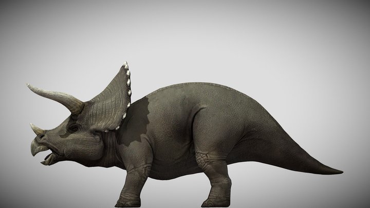 JP:OG Triceratops – Modelo 3D gratuito STL