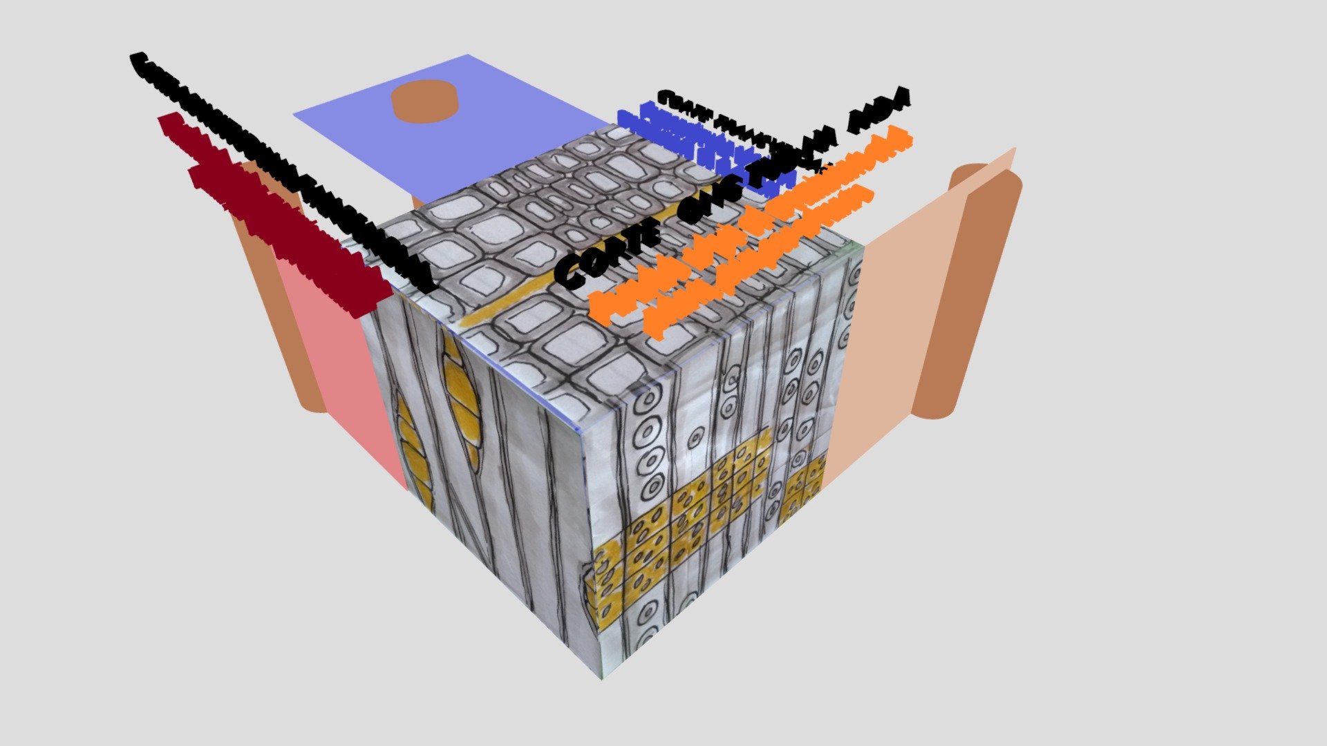 xilocubo v3