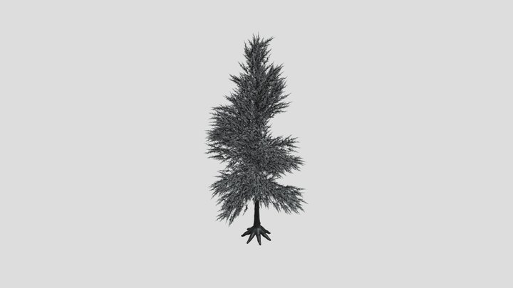 Pine Tree Variation – Modèle 3D gratuit STL