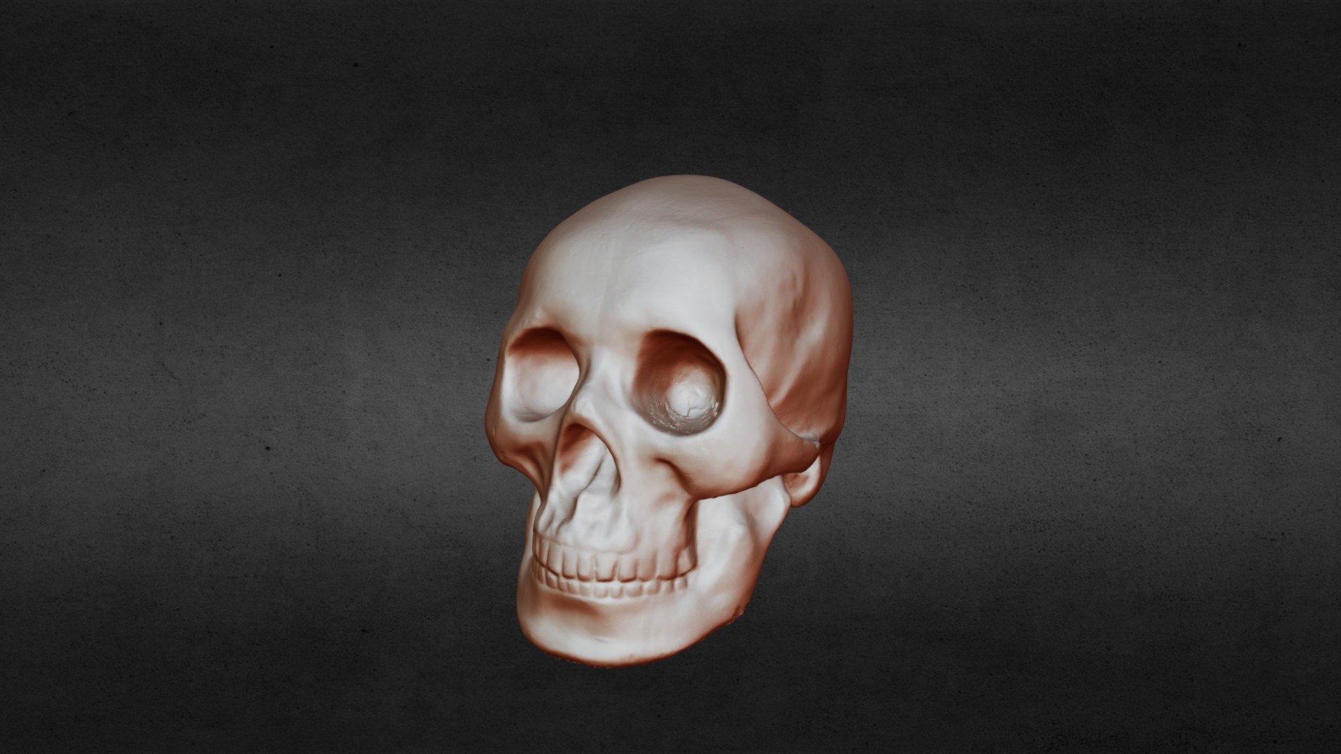Skull