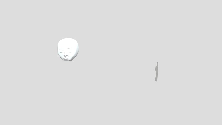 My model 3D Model
