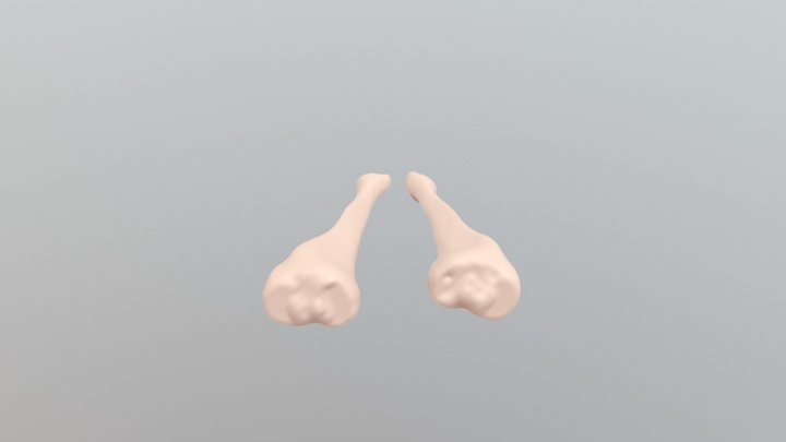 Tibia2 3D Model