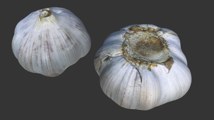 Photogrammetry - Garlic Test 3D Model
