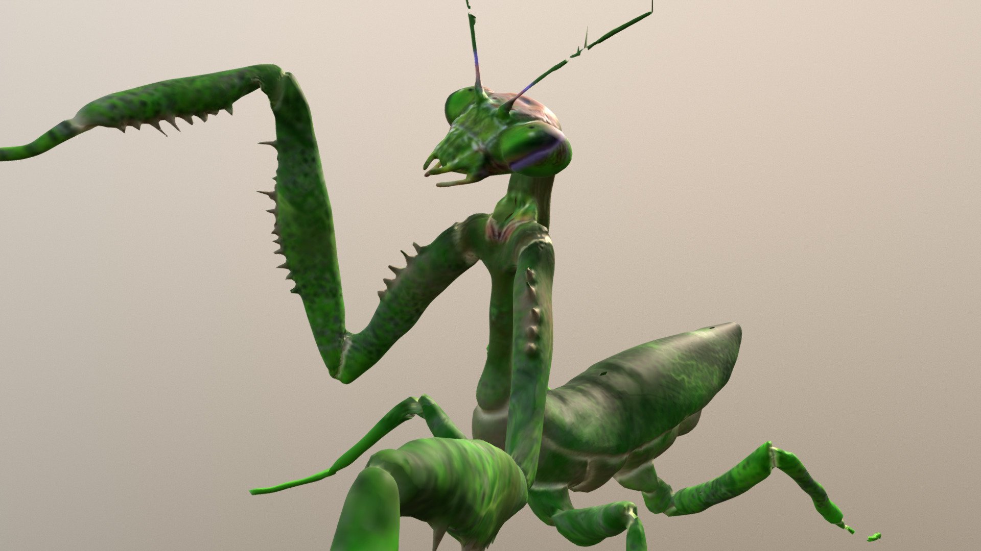 Praying Mantis Download Free 3D model by VirReal4