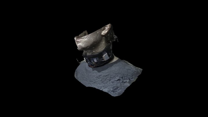 ACCTV scan 3D Model