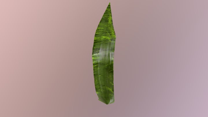 Seaweed 3D Model