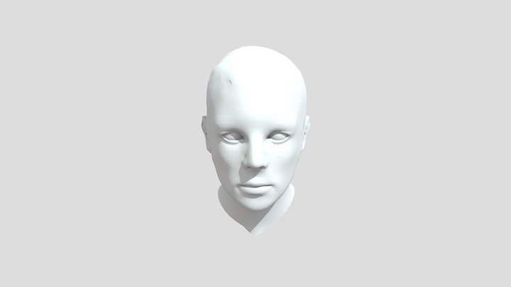 Head 3D Model