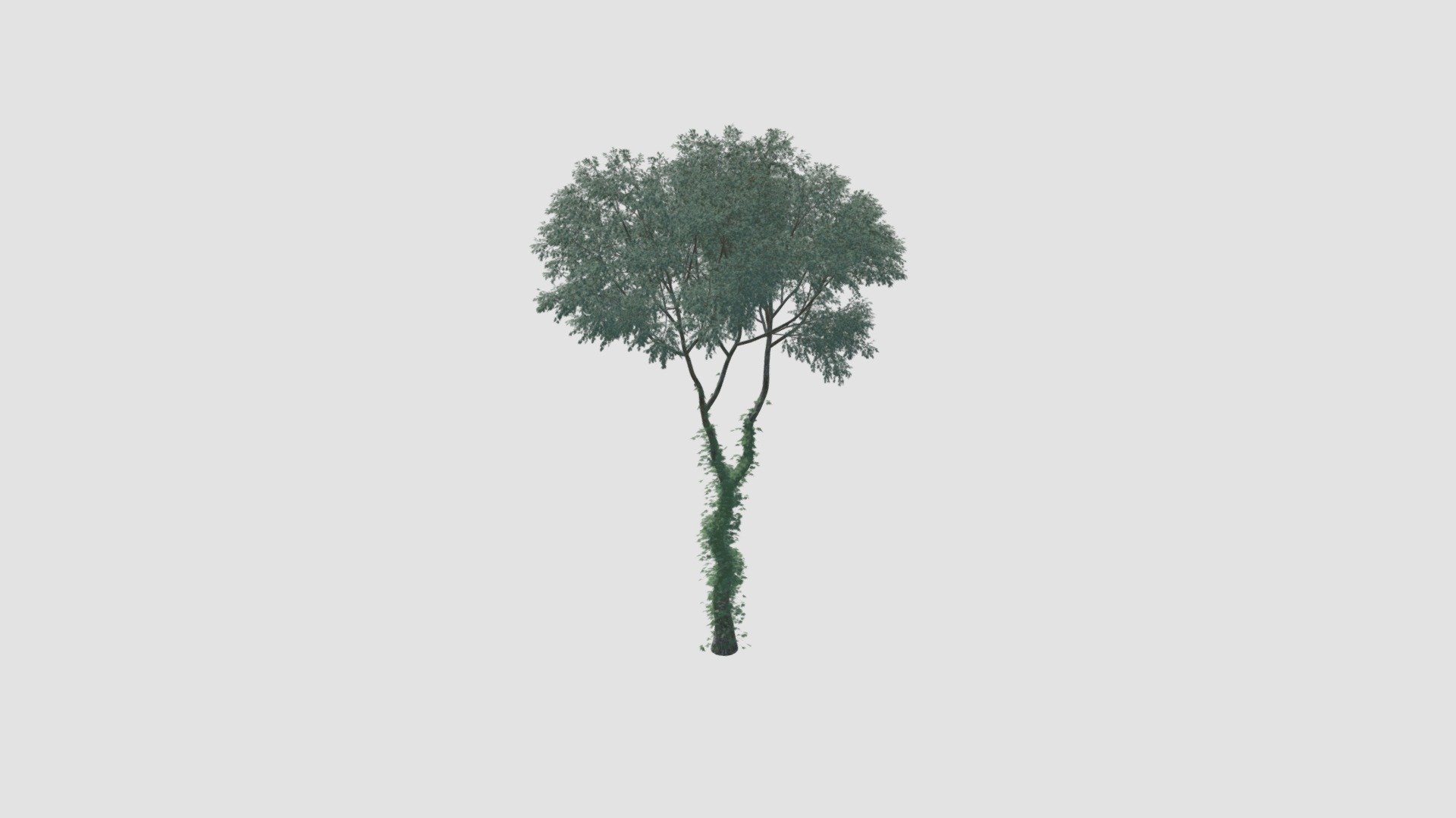 tree - Buy Royalty Free 3D model by Evermotion [ec0cb88] - Sketchfab Store