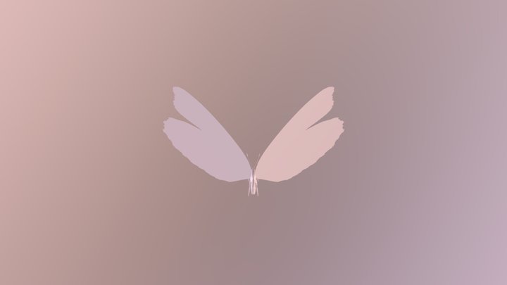 Butterfly 3D Model