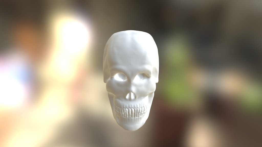Skull