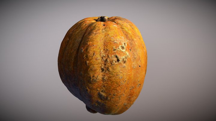 Γλυκοκολοκύθα 3D Model