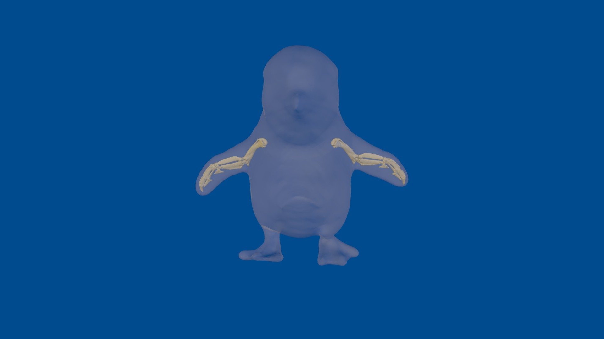 Little blue penguin project