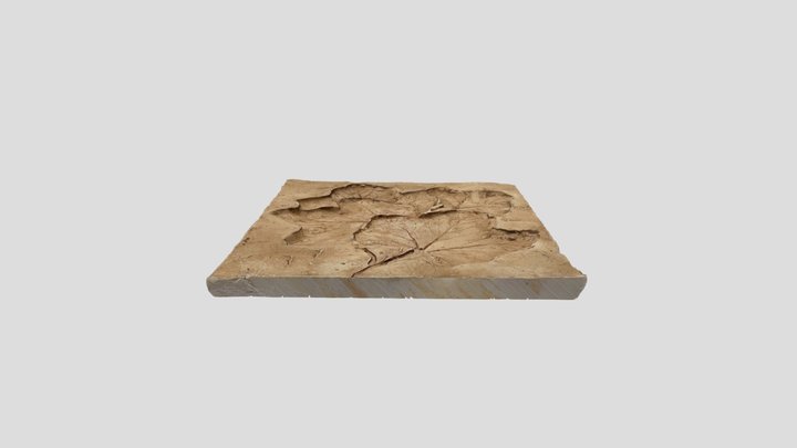 Plaster ceramic floral tile impression 3D Model