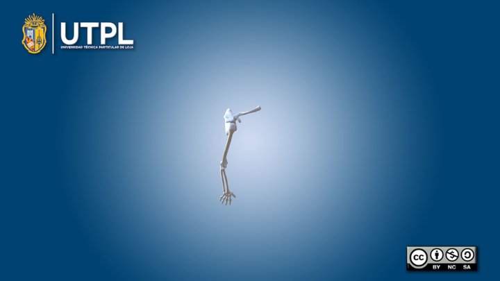 Extremidades superiores – Modello 3D gratuito STL