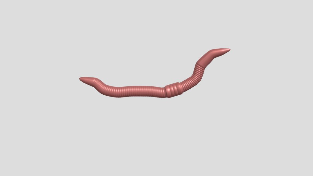Animated Worm