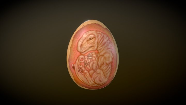 Life ... Finds a Way 3D Model