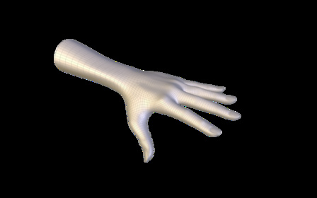Hand 3D Model