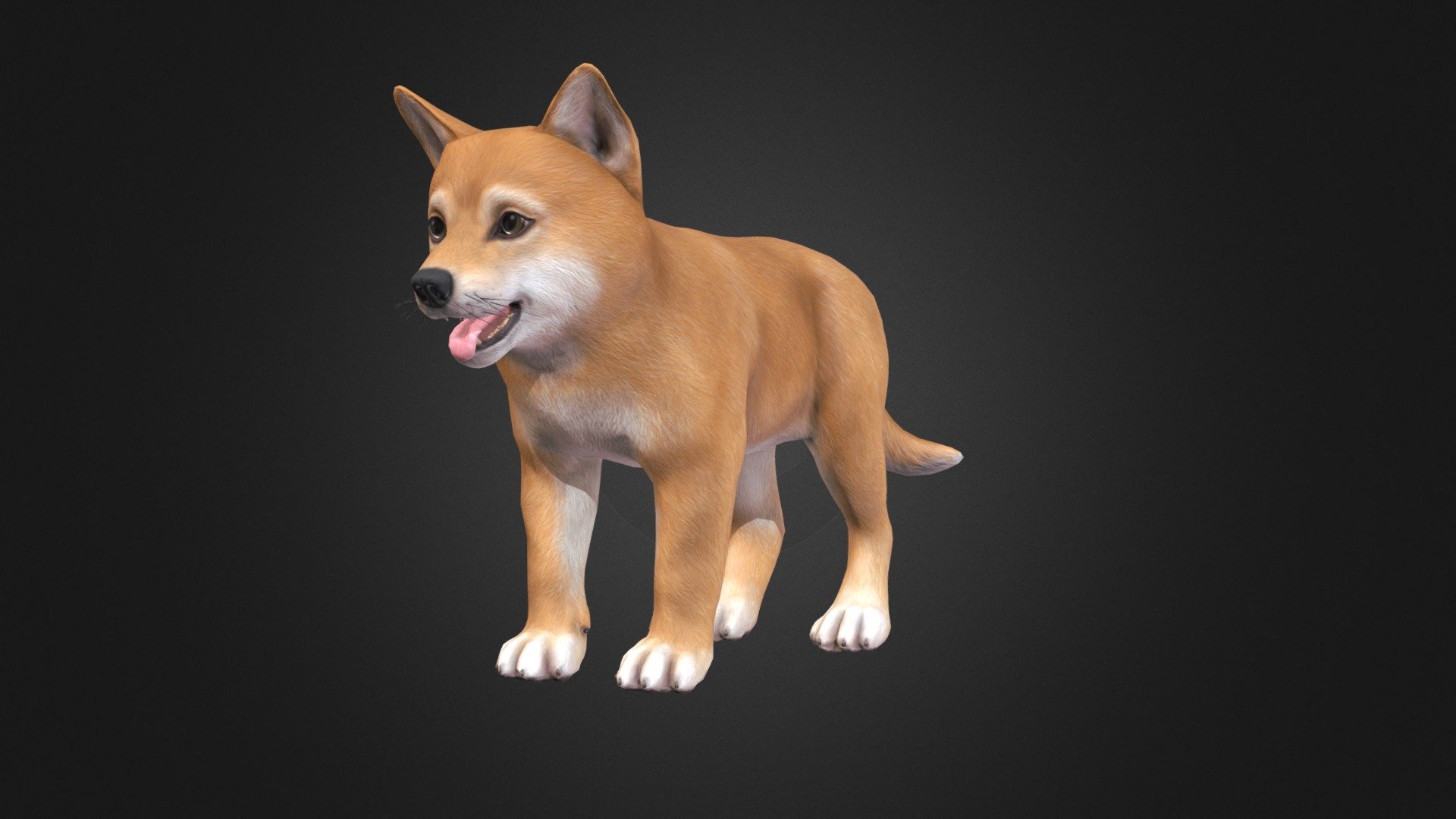 Puppy - Shiba Inu - Buy Royalty Free 3D Model By RedDeer (@billl90 ...