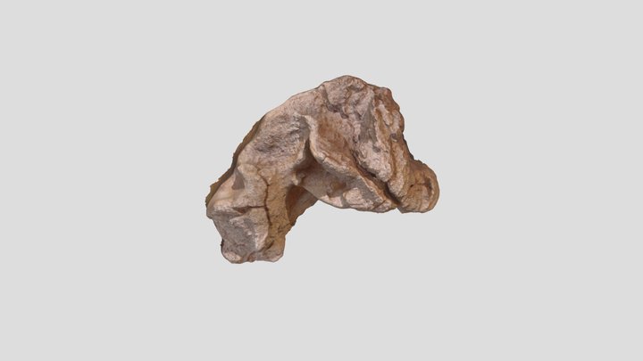 Muestra coleccion RICARDO – Modello 3D gratuito STL
