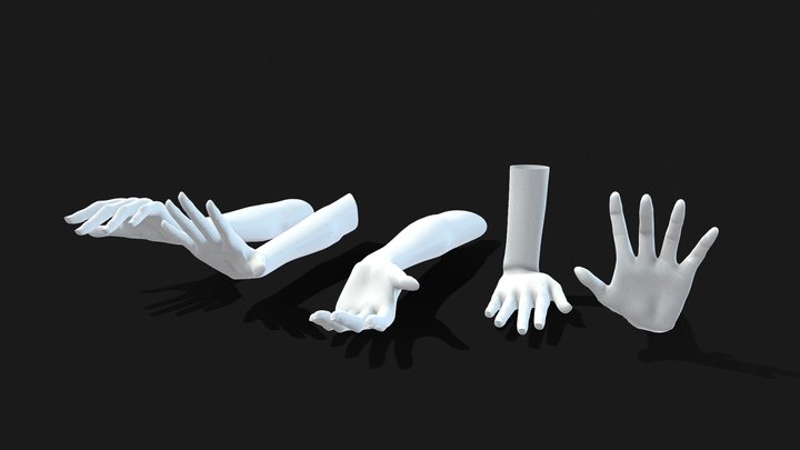 5 Unisex Hand Poses For Rigging - Human Anatomy 3D Model