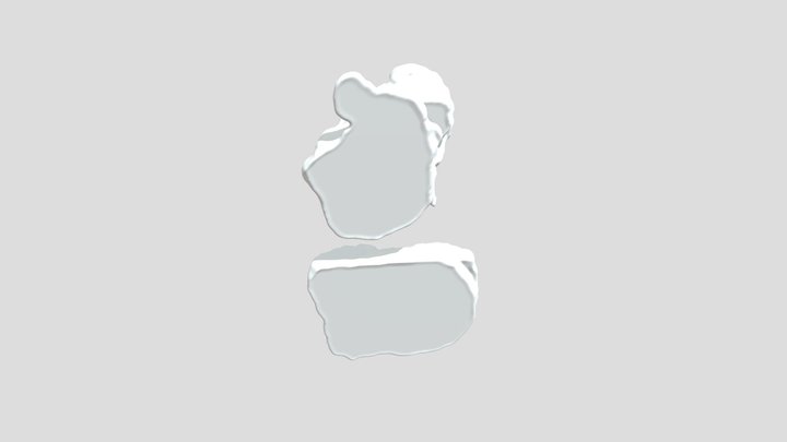 Segmentation 3D Model