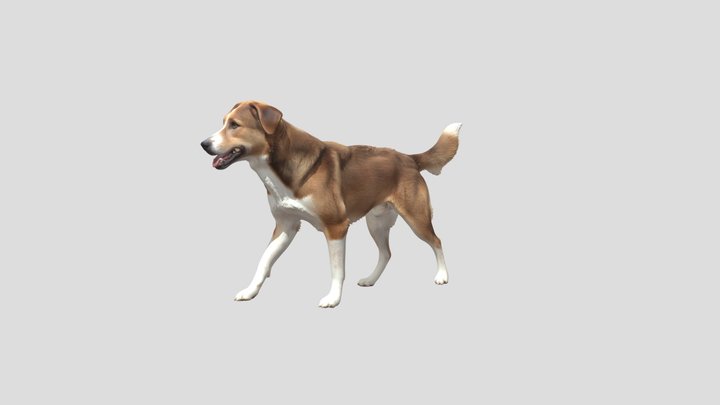 Sunny Stride Dog – Kostenloses 3D-Modell STL