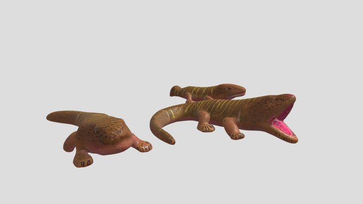 Amphibians