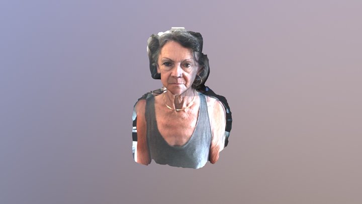 obj 3D Model