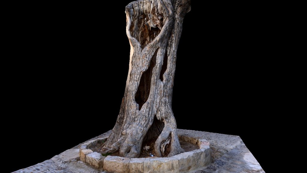 Tree / Árbol
