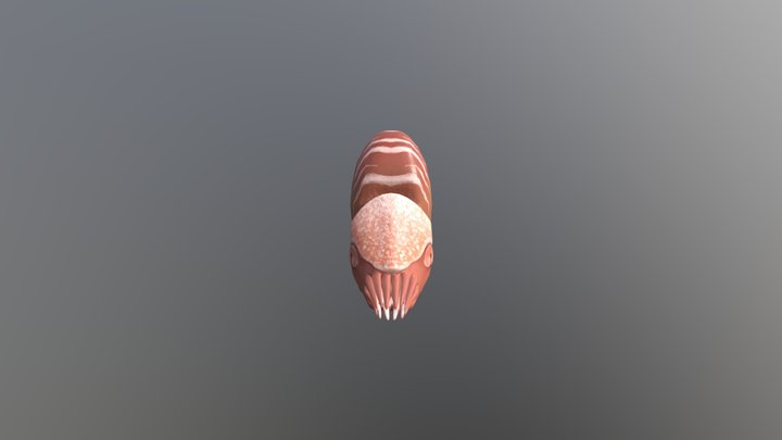 Nautilius 3D Model