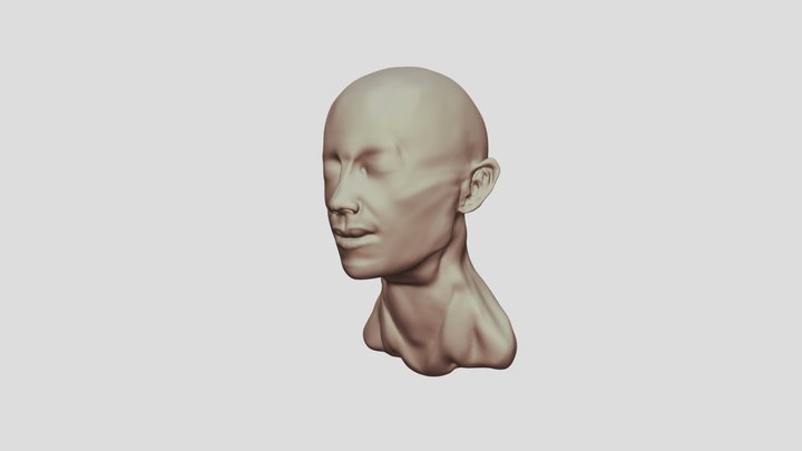 Head Practice 3D Model