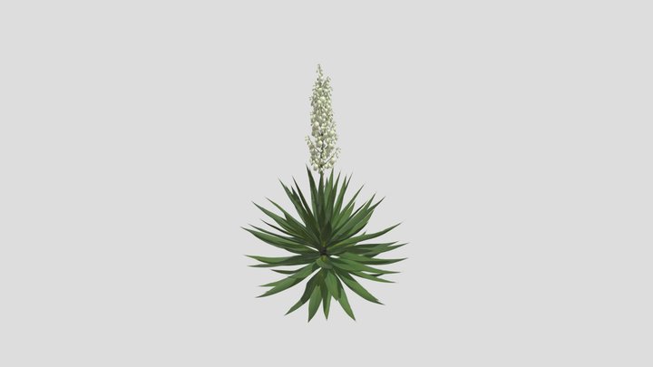 PlantModel_Sample_01 3D Model