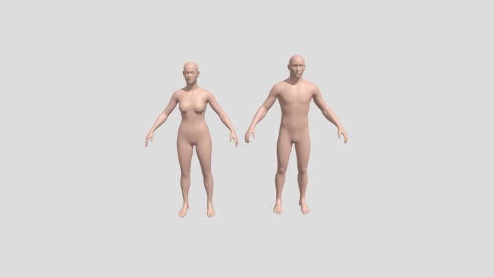Male & Female Base Mesh Pack 3D Model