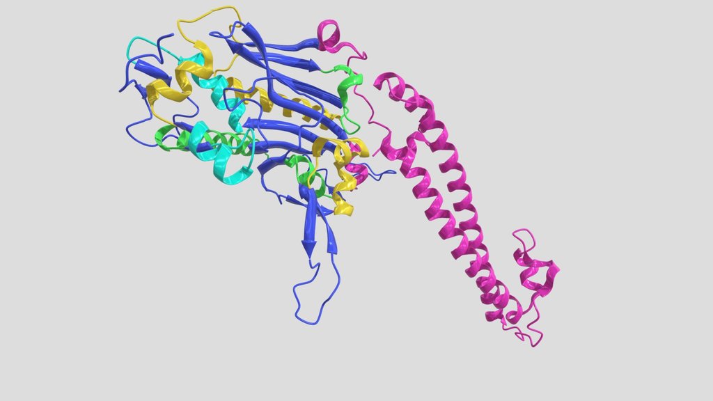 16 Proteine - PISANI Didier - KIRI