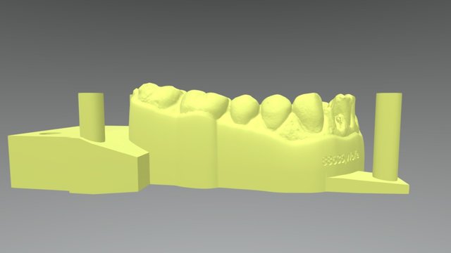 Unsectioned Model Lower Jaw 3D Model