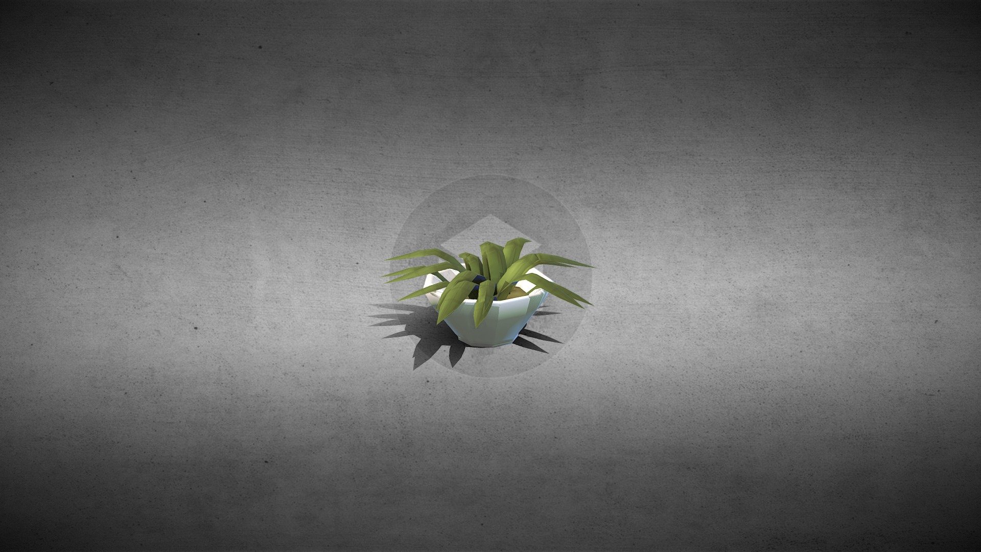 Topfpflanze || Plant || Furniture