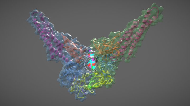STAT3 3D Model