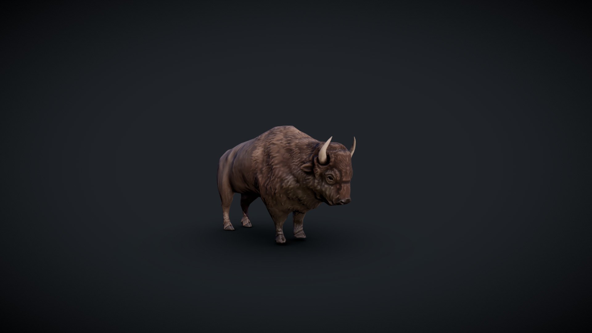 Buffalo_low - 3D model by Bastien De Santis (@Bastien.De.Santis ...